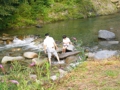 kawa_pv_04.jpg